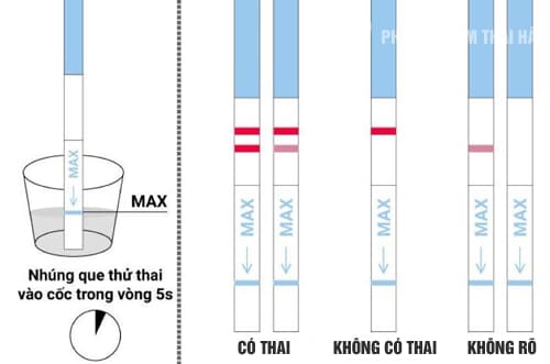 Que thử thai đúng bao nhiêu phần trăm?