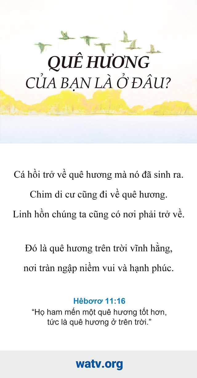 Quê Tôi Ở Đâu?