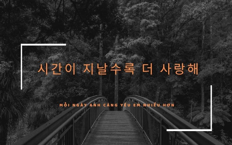 Quotes Tiếng Hàn Hay Và Ý Nghĩa