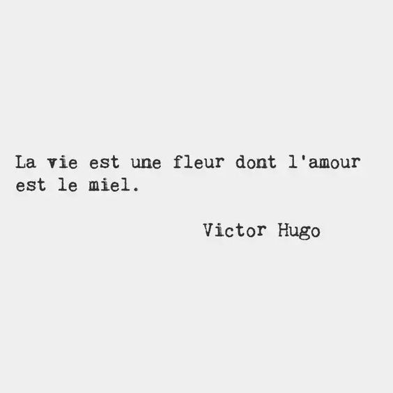 Những Quotes Tiếng Pháp Hay Và Ý Nghĩa Nhất