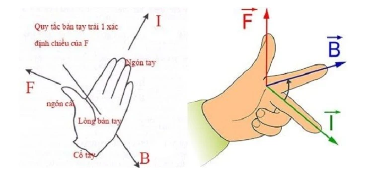 Quy tắc bàn tay trái lớp 11: Xác định lực từ, chiều dòng điện và cảm ứng từ