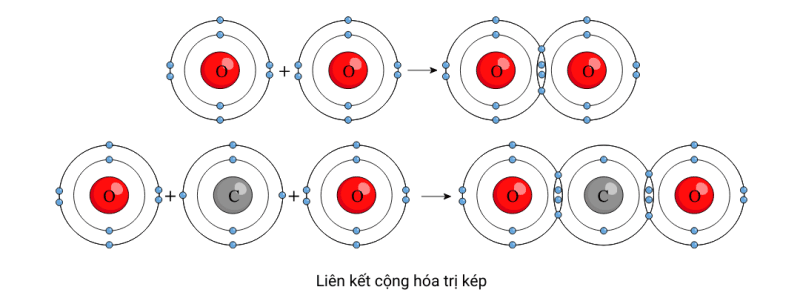 Quy tắc bát tử SEO là gì? Hướng dẫn chi tiết và ví dụ Gallery 2