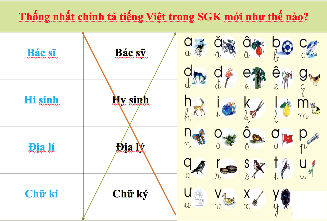 Sỹ hay Sĩ? Giải đáp thắc mắc về chính tả Gallery 2
