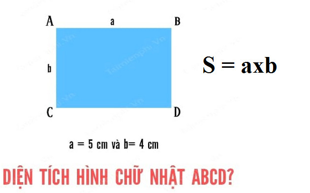 Quy tắc tính diện tích hình chữ nhật Gallery 2