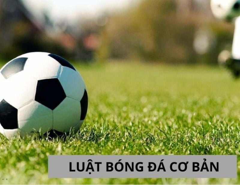 Môn Thể Thao Vua Là Gì? Gallery 2