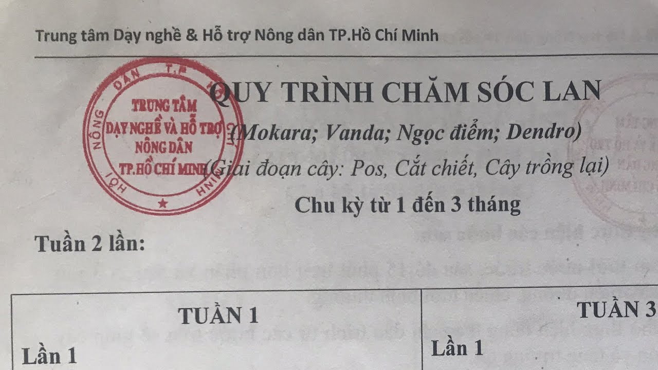 Quy trình chăm sóc lan mới nhất của thầy Tám Ngọc