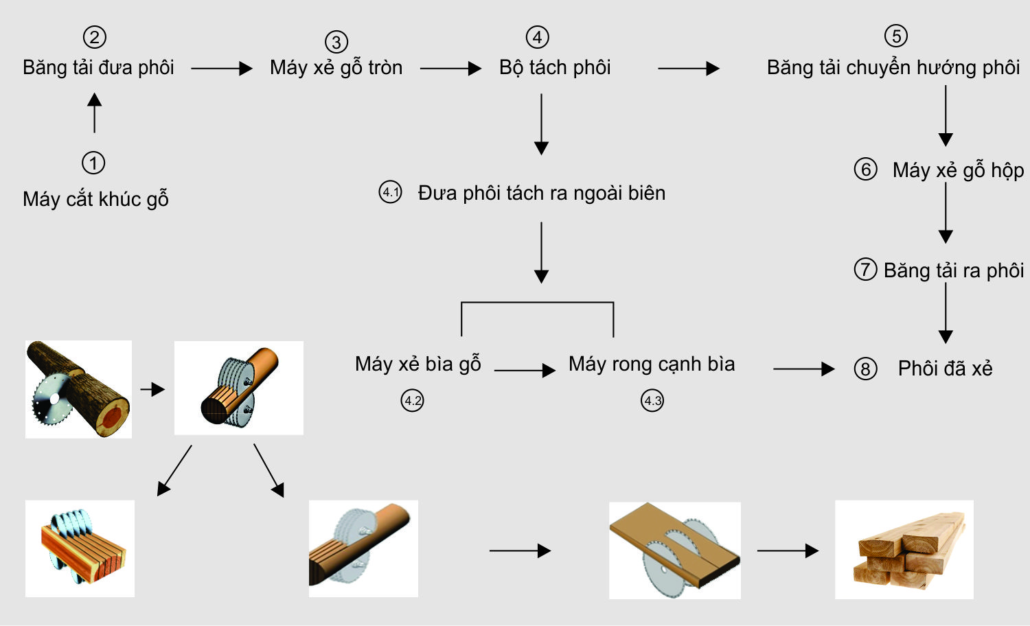 Xẻ Gỗ: Quy Trình, Ứng Dụng Và Lựa Chọn Gỗ Phù Hợp Gallery 1