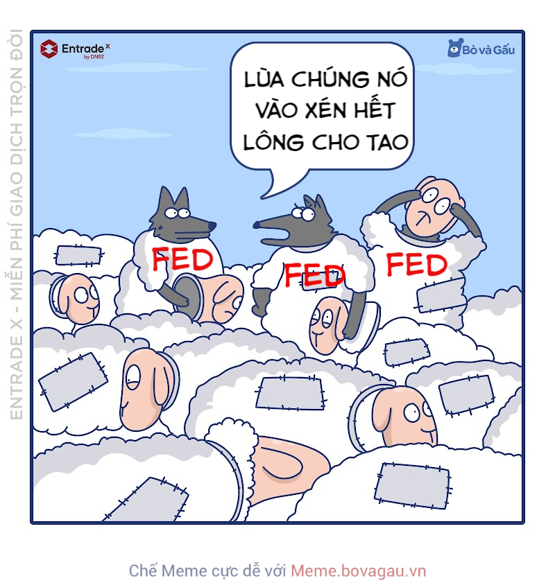 Xén lông cừu là gì? Gallery 1
