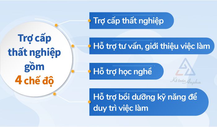 Bảo hiểm thất nghiệp là gì? Quyền lợi và thủ tục hưởng Gallery 2