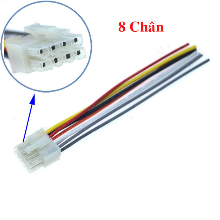 Rắc Cắm: Mọi Thông Tin Bạn Cần Biết