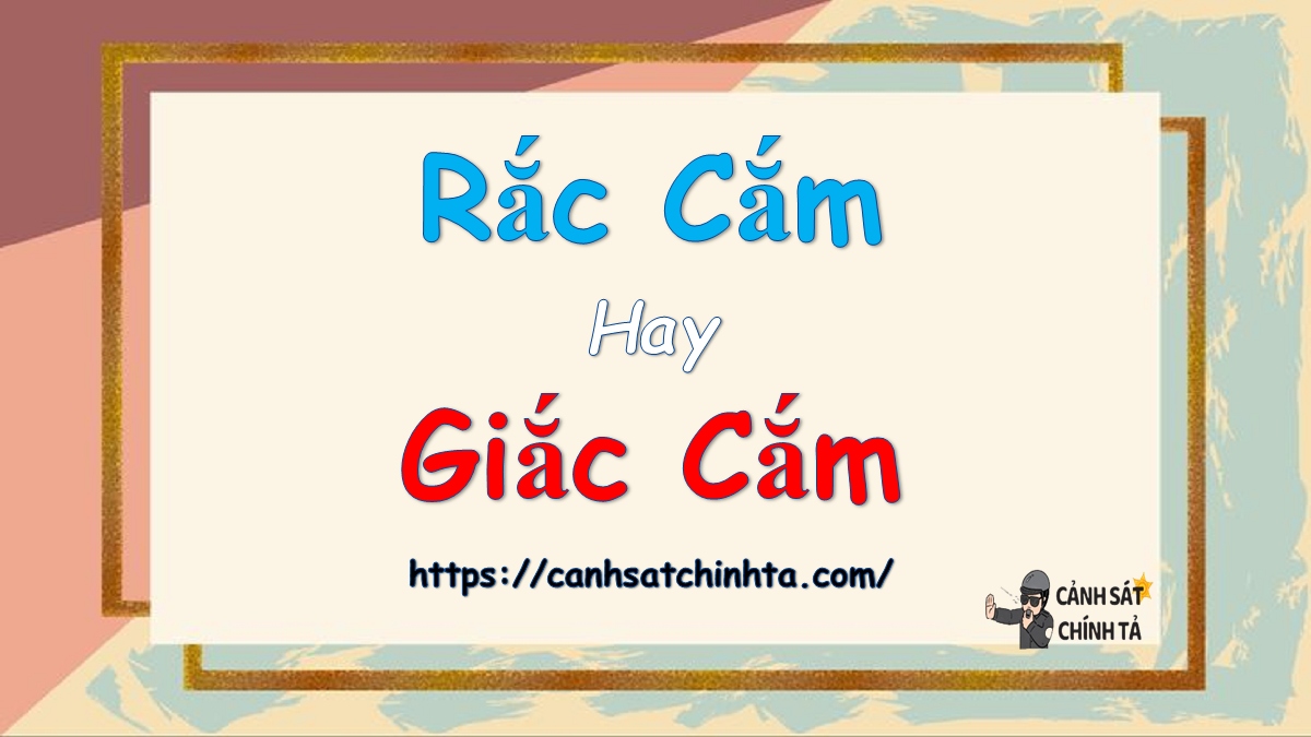 Rắc cắm hay Giắc cắm? Sự khác biệt và cách sử dụng