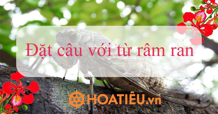 Râm ran là gì?