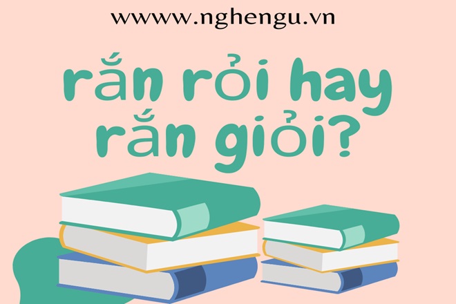 Rắn rỏi nghĩa là gì? Gallery 2