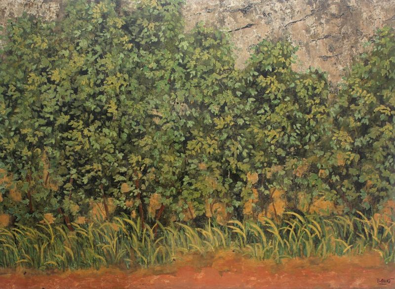Rặng Cây: Khám Phá Vẻ Đẹp Và Ý Nghĩa