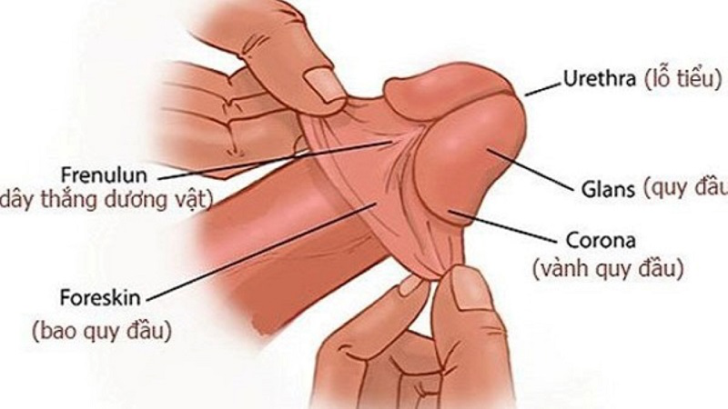Rãnh Là Gì?