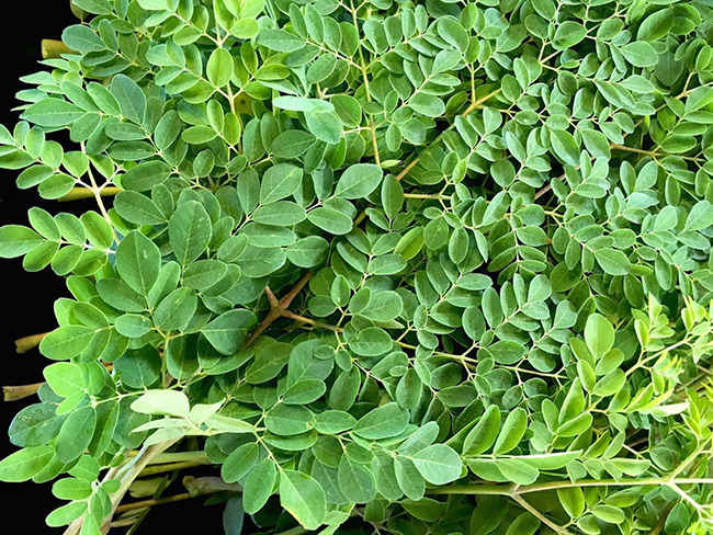 Rau Chùm Ngây Nấu Với Gì Ngon?