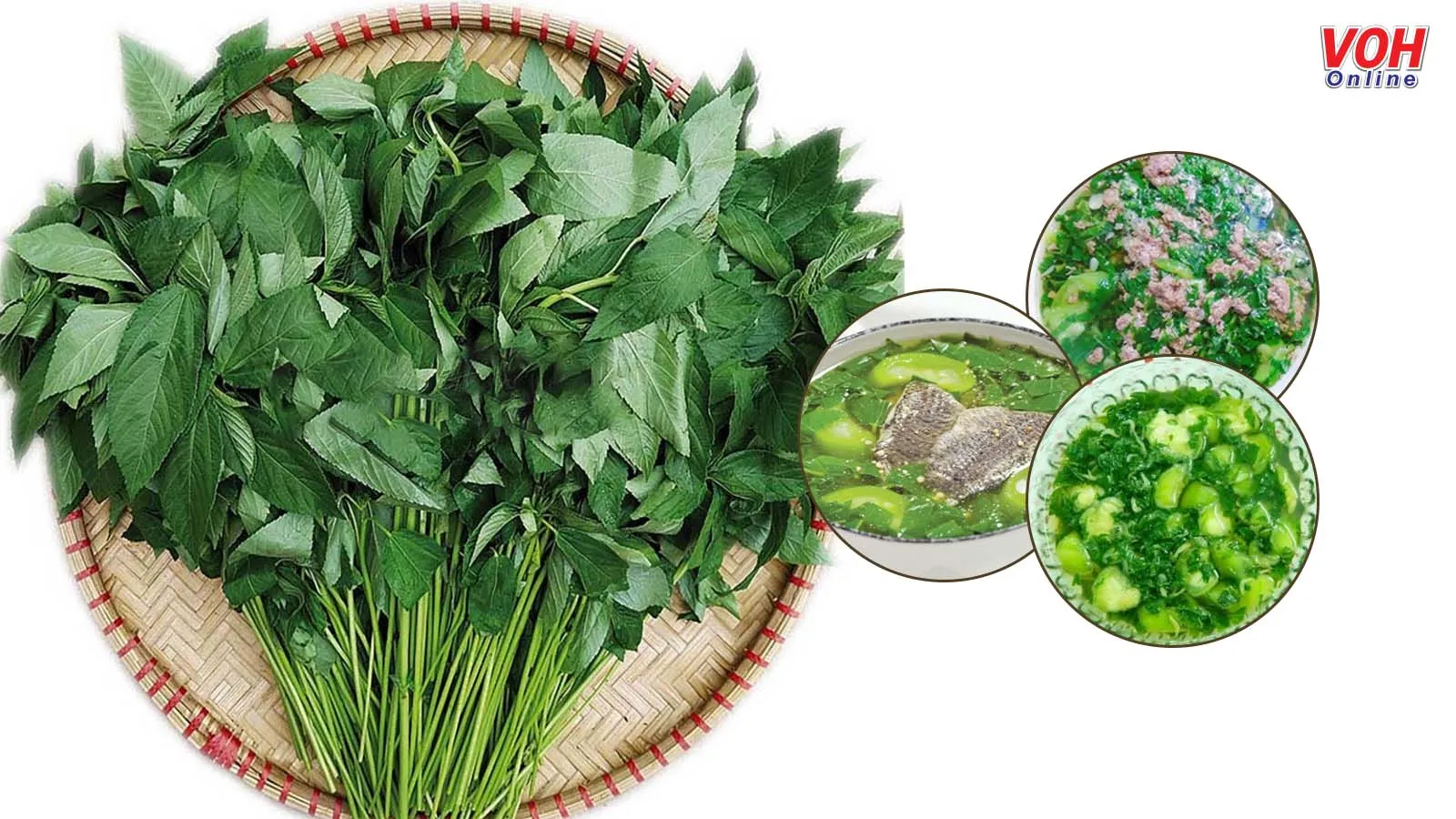 Rau đay nấu gì ngon? Gallery 2