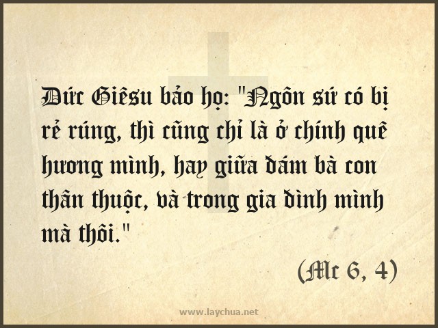 Rẻ rúng hay rẻ rúm? Gallery 2