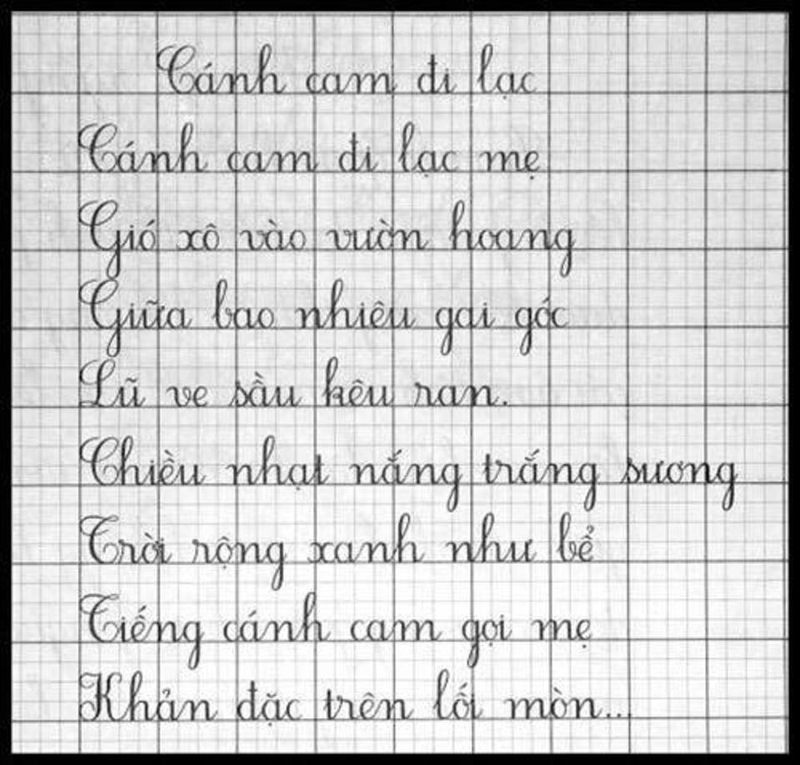 Rèn Chữ Đẹp Lớp 1: Hướng Dẫn Chi Tiết Cho Phụ Huynh và Học Sinh Gallery 2