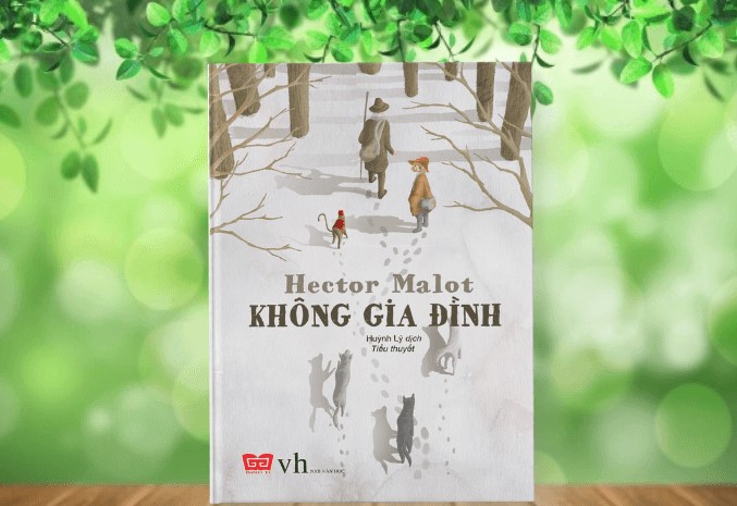 Review Không Gia Đình: Trải Nghiệm Sống Độc Thân và Những Điều Cần Biết