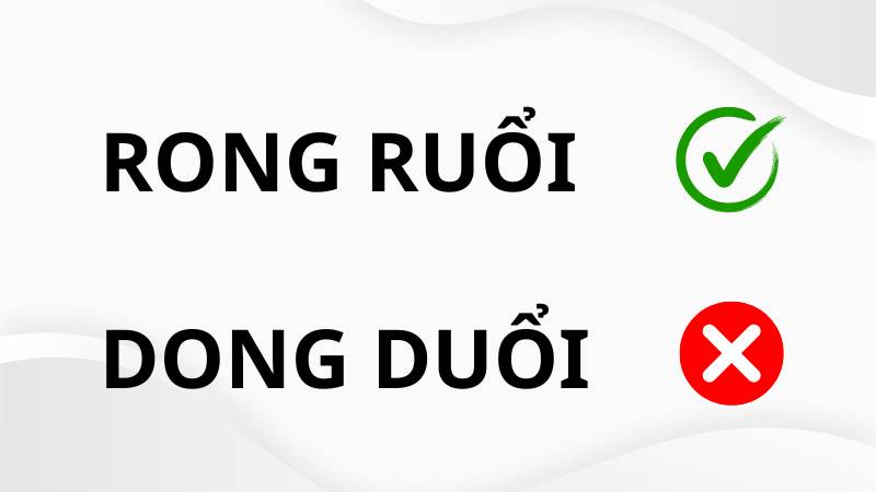 Rong ruổi hay dong duổi? Gallery 2
