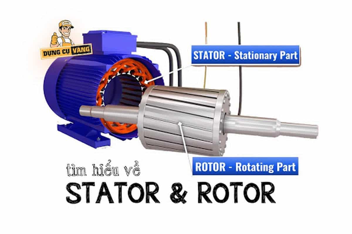 Roto Là Phần Gì?