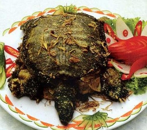 Rùa Nấu Món Gì Ngon?