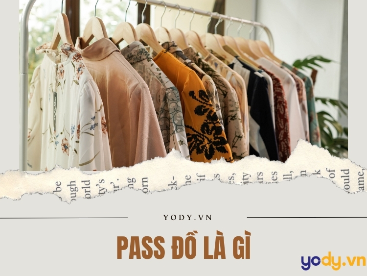 Đi Pass Là Gì? Gallery 2