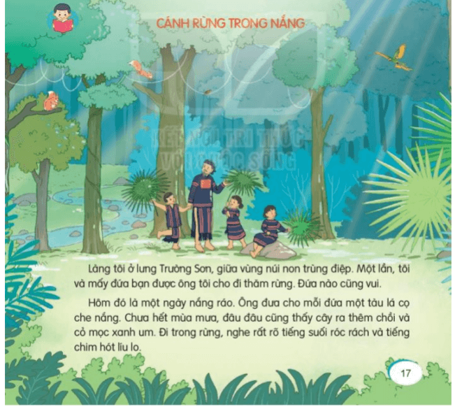 Rừng cây trong nắng