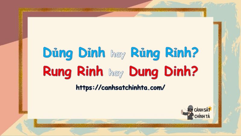 Rung Rinh Hay Dung Dinh? Lựa Chọn Phù Hợp Với Bạn