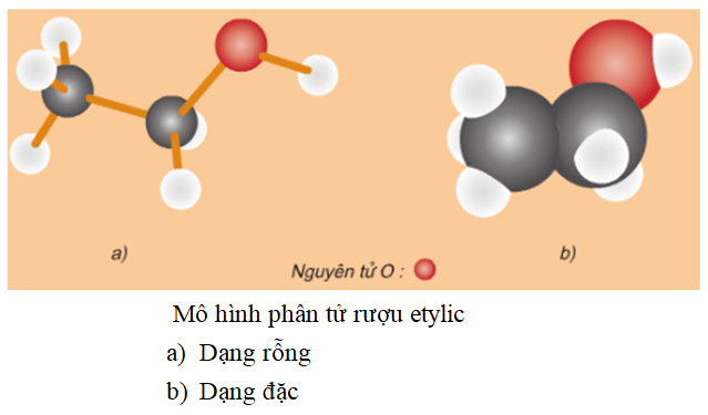 Rượu Etylic trong Phân tử Gồm những gì?