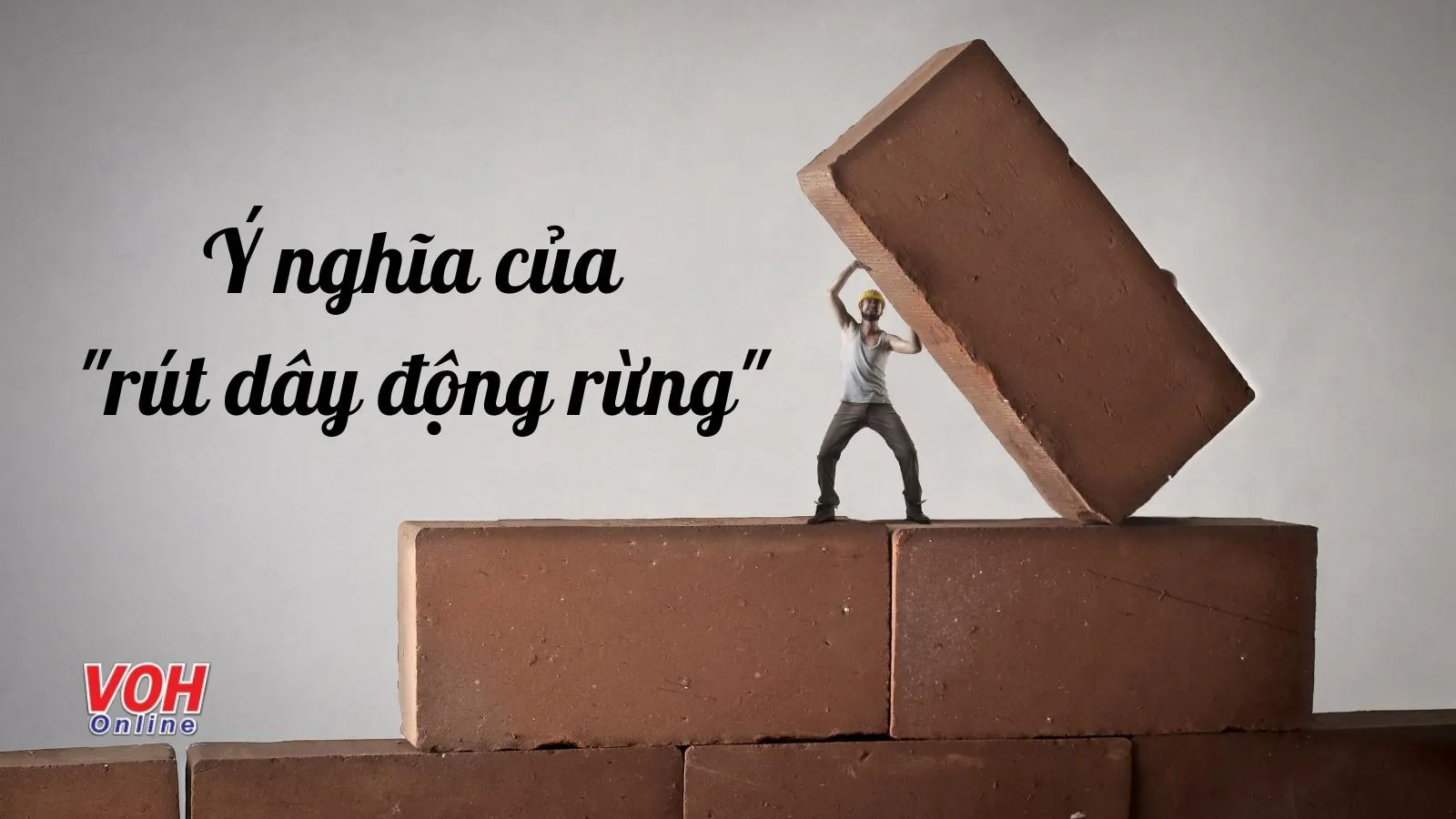 Rút Dây Động Là Gì? Hướng Dẫn Chi Tiết