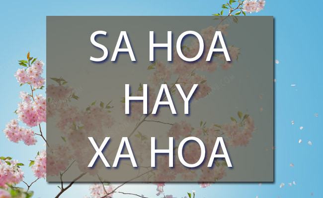 Sa hoa hay xa hoa? Gallery 2