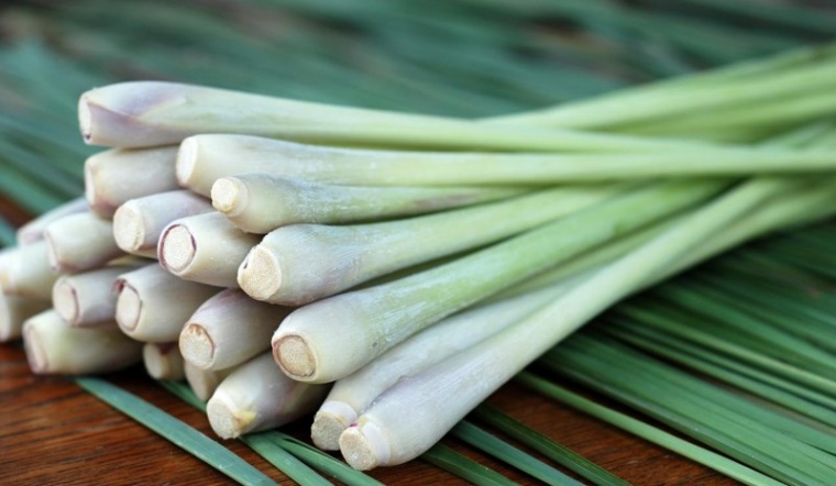Sa Sả Là Gì?