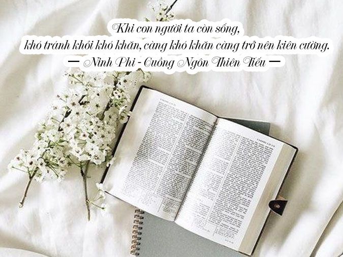 Những câu châm ngôn hay về sách Gallery 1