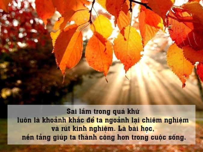Những Sai Lầm Của Bản Thân - Bài Học Đắt Giá Trên Con Đường Thành Công Gallery 1