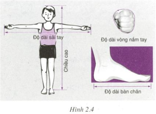 Sải tay dài hơn chiều cao: Bí quyết, nguyên nhân và ý nghĩa