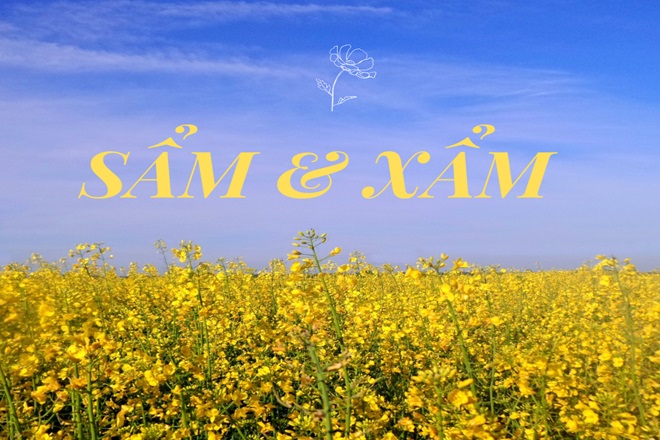 Sẩm tối hay Xẩm tối?