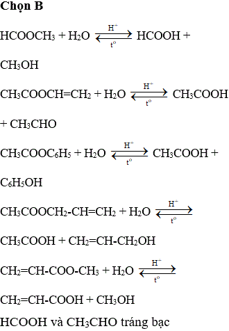 CH3COOCH2 + H2O: Phản ứng thủy phân và sản phẩm Gallery 2