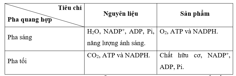 Nguyên liệu và sản phẩm của quá trình quang hợp Gallery 2