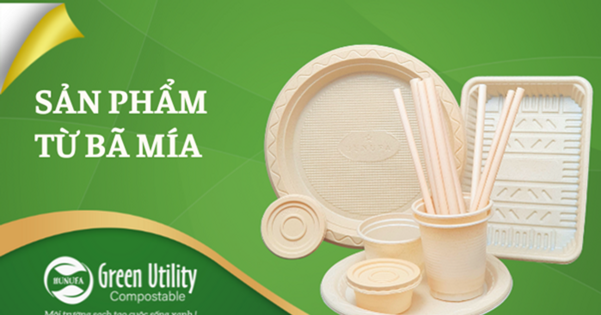 Sản phẩm hữu ích từ bã mía: Giải pháp thân thiện môi trường