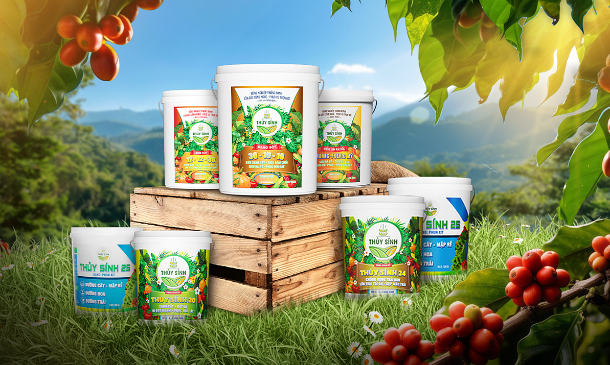 Công ty Thủy Sính - Nhà cung cấp giải pháp hàng đầu về [Sản phẩm/dịch vụ chính của công ty] Gallery 2