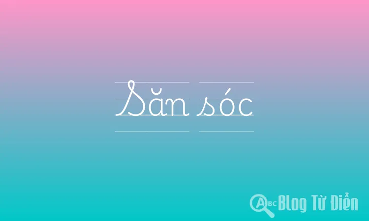 Săn sóc có nghĩa là gì? Gallery 2