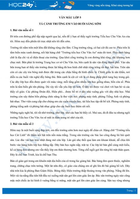 Tả sân trường lớp 5 Gallery 1