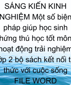 Sáng kiến kinh nghiệm lớp 2 Kết nối tri thức với cuộc sống