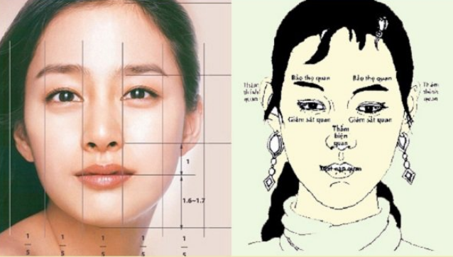 Sáng Sủa Nghĩa Là Gì? Gallery 2