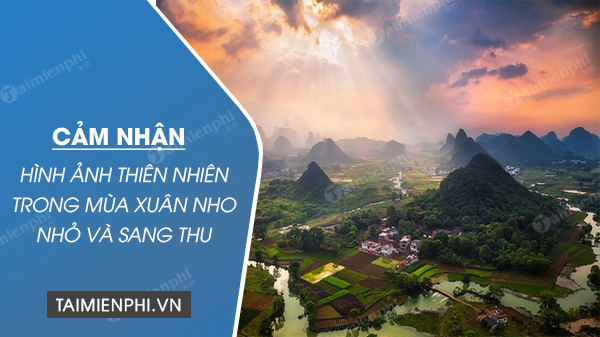 Sang Thu Liên Hệ Mùa Xuân Nho Nhỏ Gallery 2