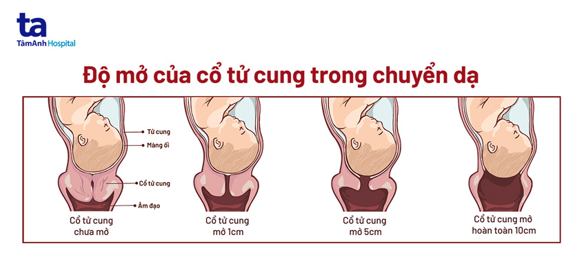 Sinh thường bao lâu mới quan hệ được?