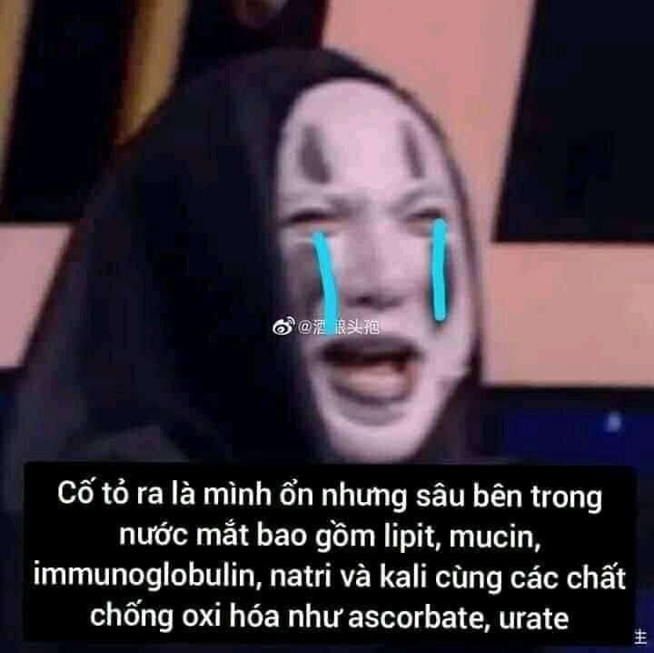 Sâu Bên Trong Nước Mắt Là Biển Rộng Meme Gallery 2