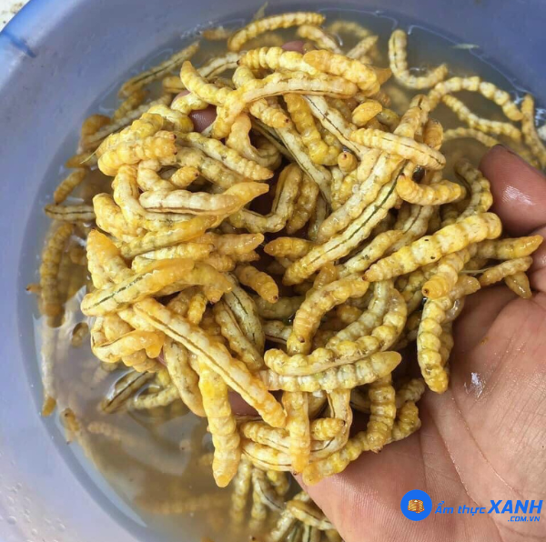 Sâu chít có tác dụng gì?